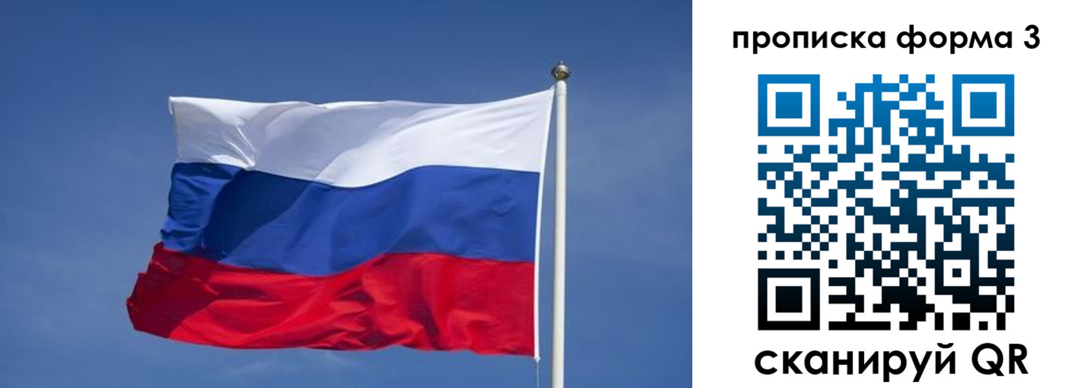 прописка 2025 в Покрове